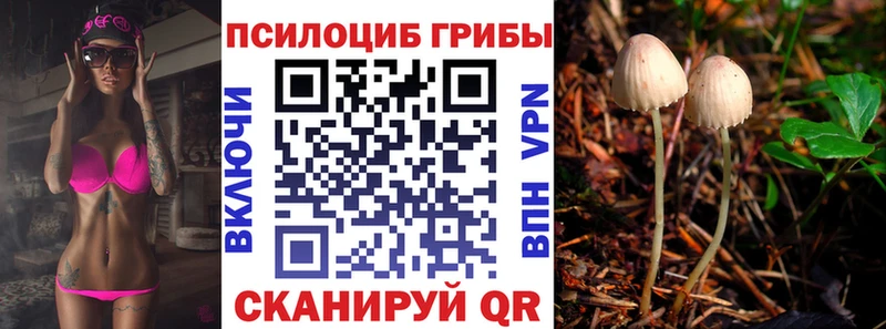 купить сайты Крым Псилоцибиновые грибы Cubensis